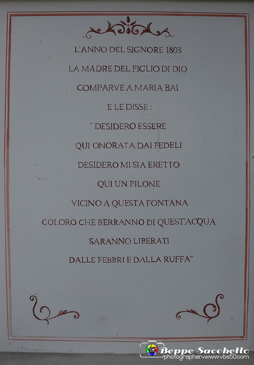 VBS_9785 - Infiorata di Villanova d'Asti 2023.jpg
